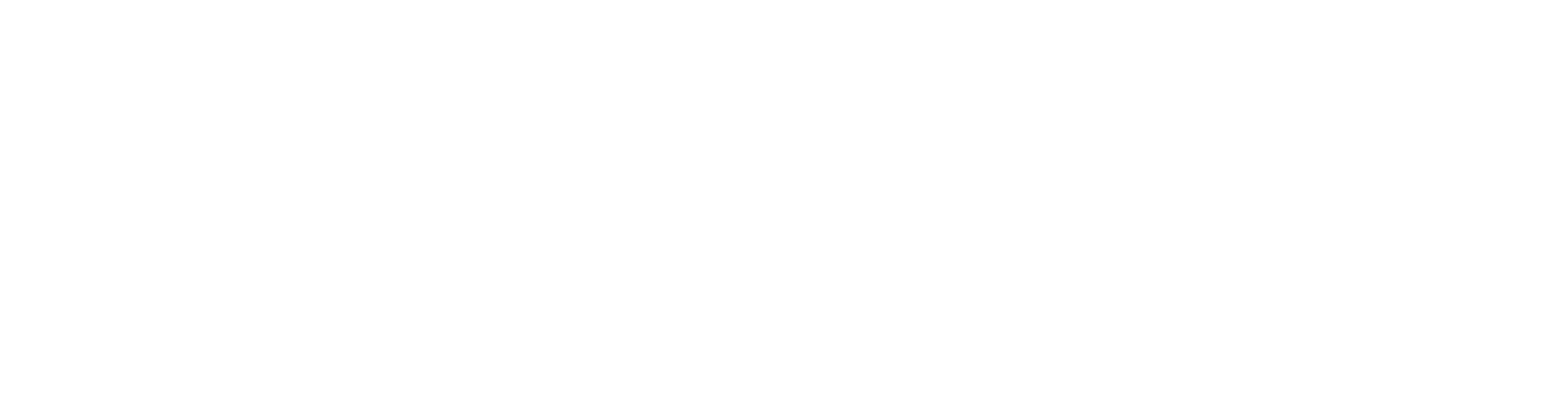Pullman Fleet Solutions