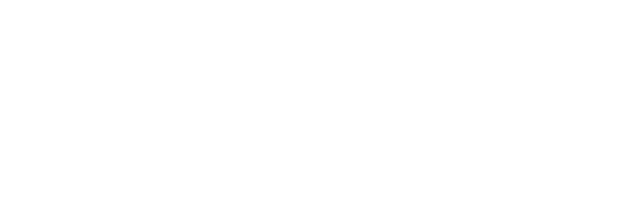 SEG Electronics