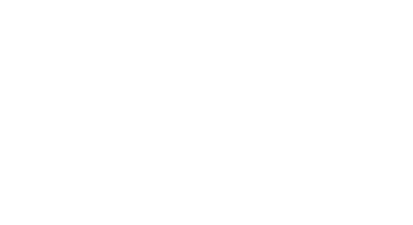 DEMIS
